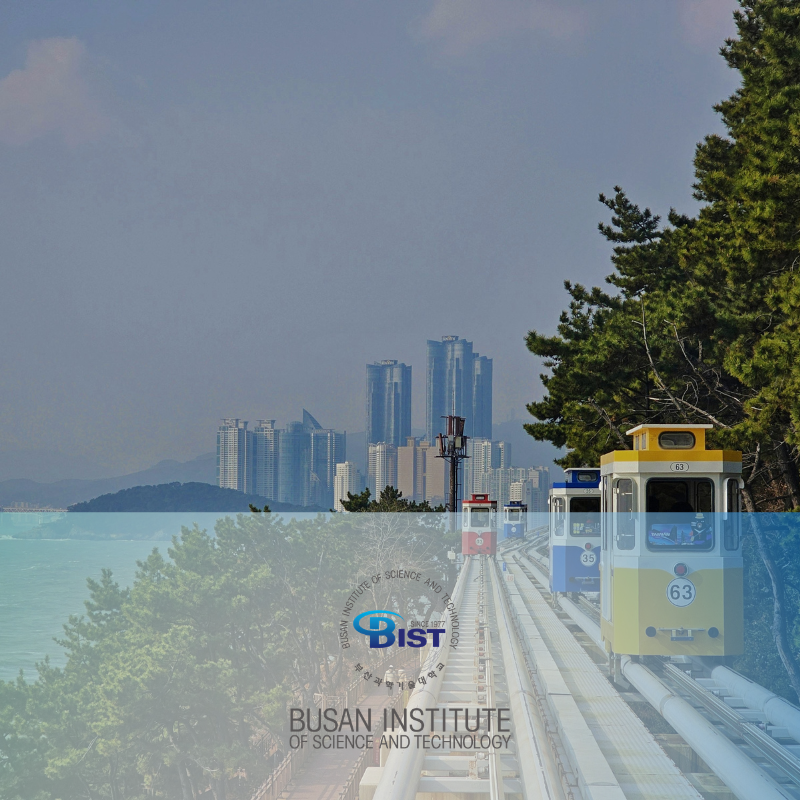 Busan Institute of Science and Technology