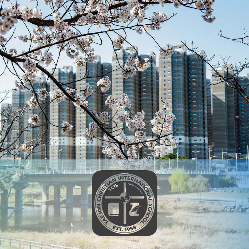 Taejon Christian International School